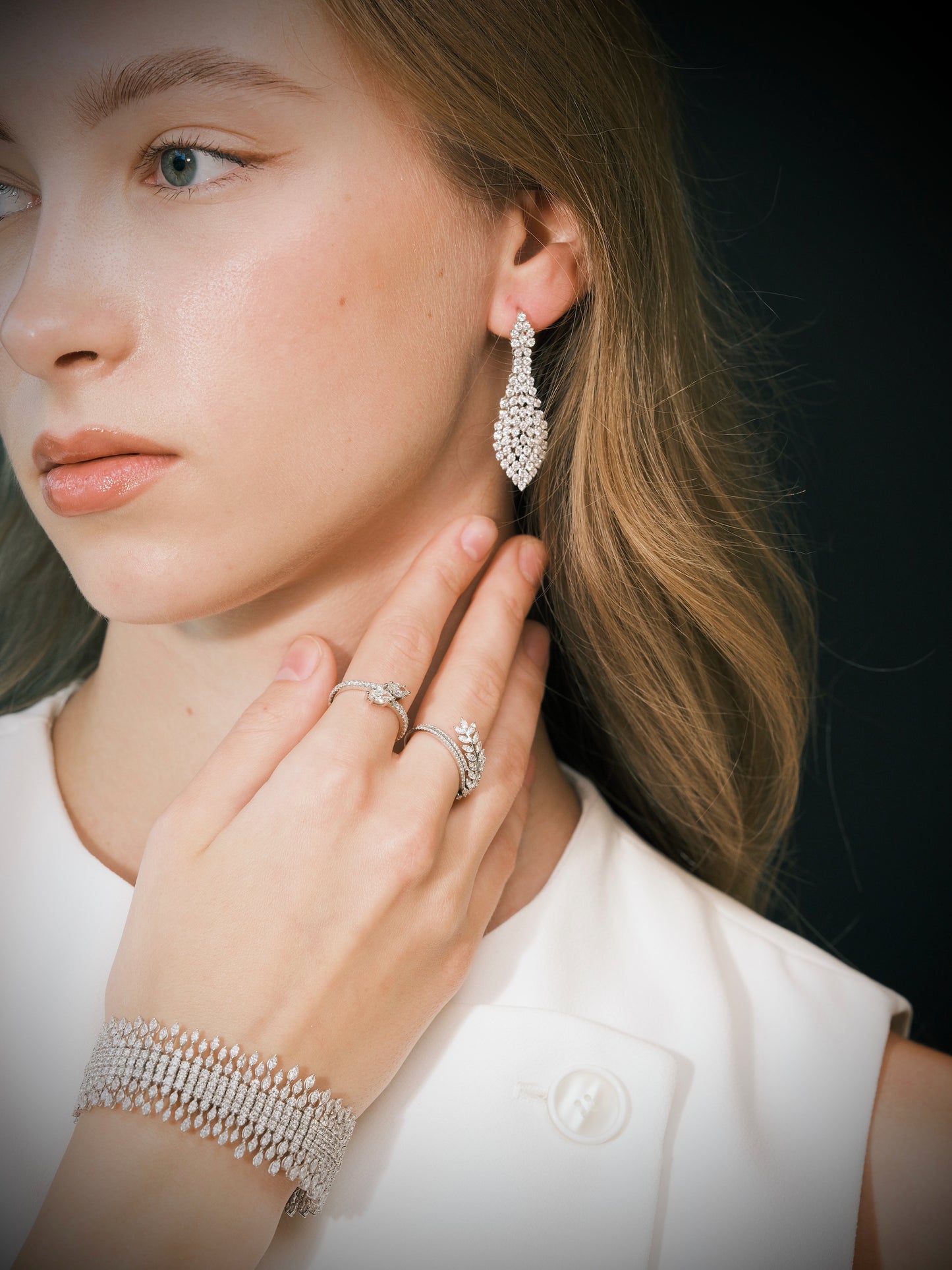 Round Dangling Diamond Earrings (ARJS2497)
