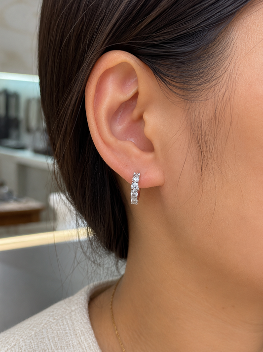 Oval Hoops Earring (ARJS2756)